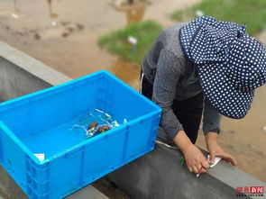 從海水稻到廚衛(wèi)雜品 科技創(chuàng)新的多元探索與實(shí)踐